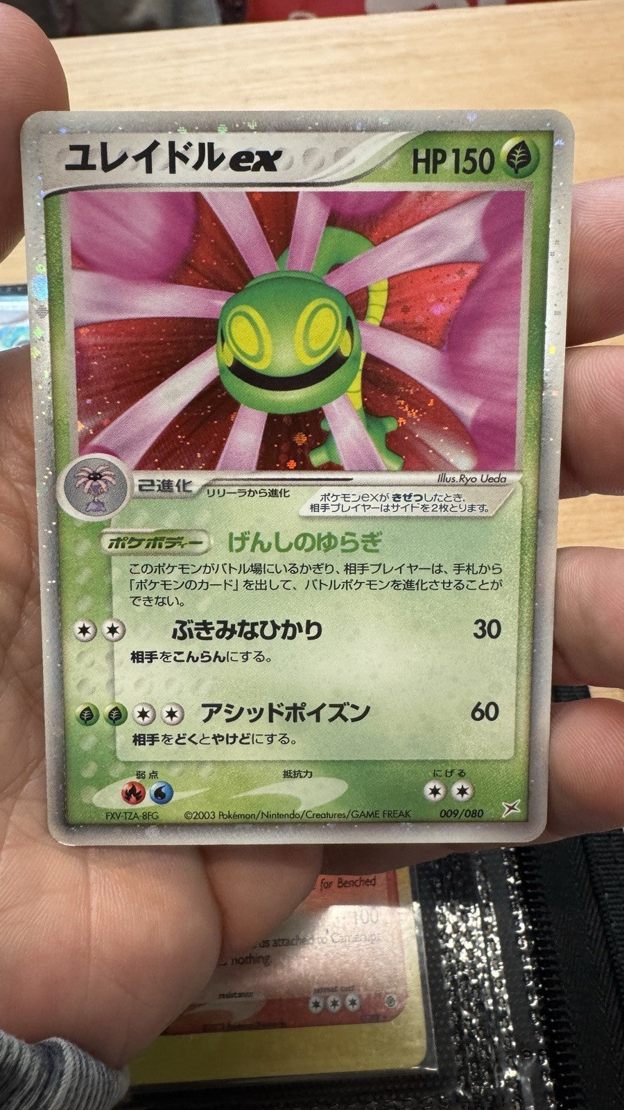 Japanese Pokemon Cradily ex 009/080 Magma VS Aqua: Two Ambitions EXC